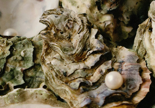  Top Cyber Security Advice for Your Business