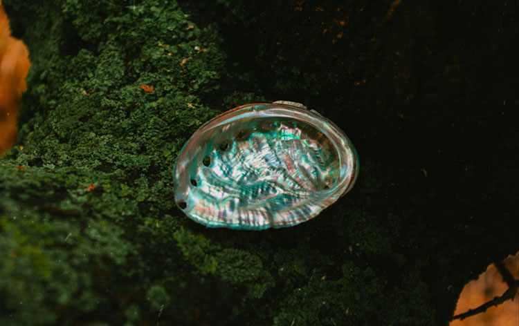 How is a pearl formed?